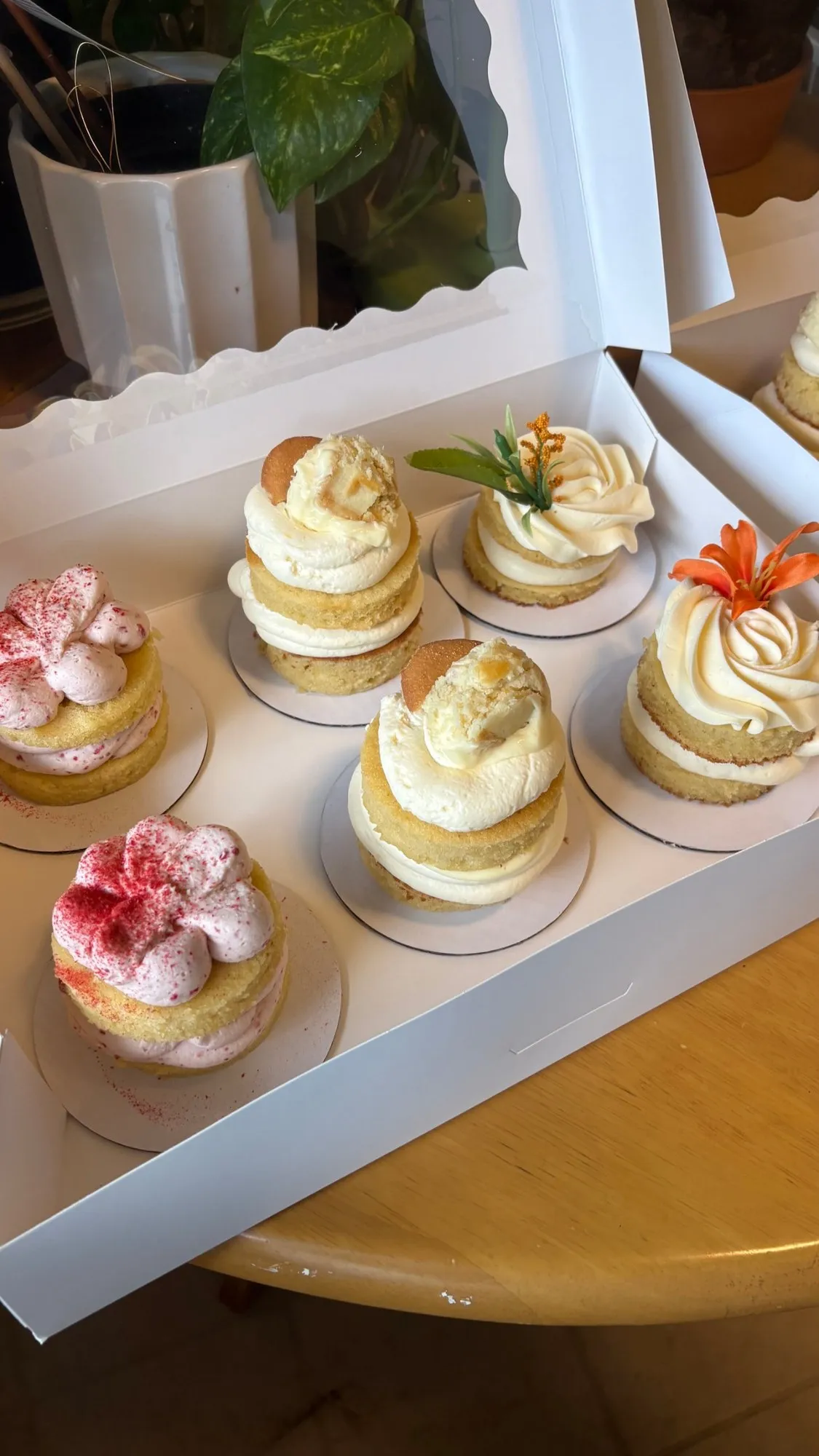 Box of frosted cupcakes with swirled buttercream, fresh flowers, and freeze-dried raspberry toppings